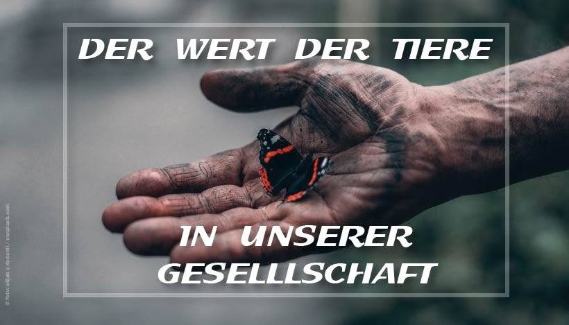 Der Wert der Tiere in unserer Gesellschaft Der Wert der Tiere in unserer Gesellschaft