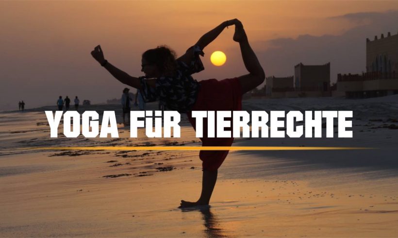 Yoga für den guten Zweck Yoga für den guten Zweck