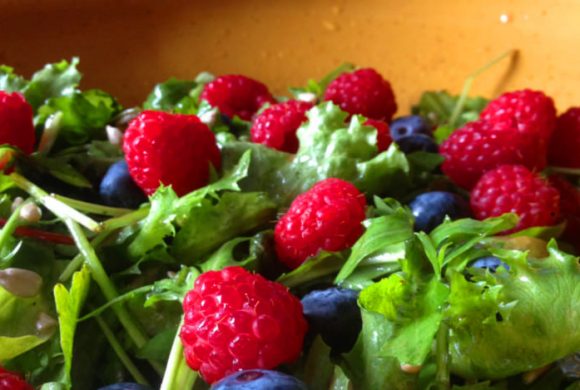 Tierleidfrei genießen: Fruchtiger Sommersalat Tierleidfrei genießen: Fruchtiger Sommersalat
