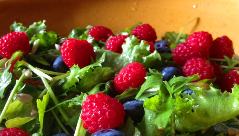 Tierleidfrei genießen: Fruchtiger Sommersalat Tierleidfrei genießen: Fruchtiger Sommersalat