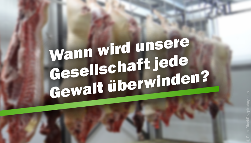 Wann wird unsere Gesellschaft jede Gewalt überwinden? Wann wird unsere Gesellschaft jede Gewalt überwinden?