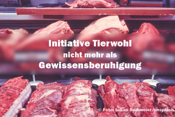 „Initiative Tierwohl“? – eher Initiative „Gewissensberuhigung“! „Initiative Tierwohl“? – eher Initiative „Gewissensberuhigung“!