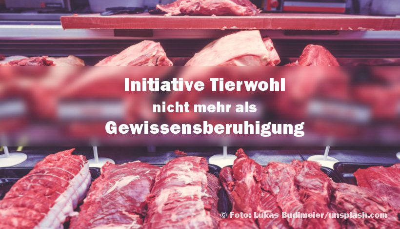 “Initiative Tierwohl”? – eher Initiative “Gewissensberuhigung”! “Initiative Tierwohl”? – eher Initiative “Gewissensberuhigung”!