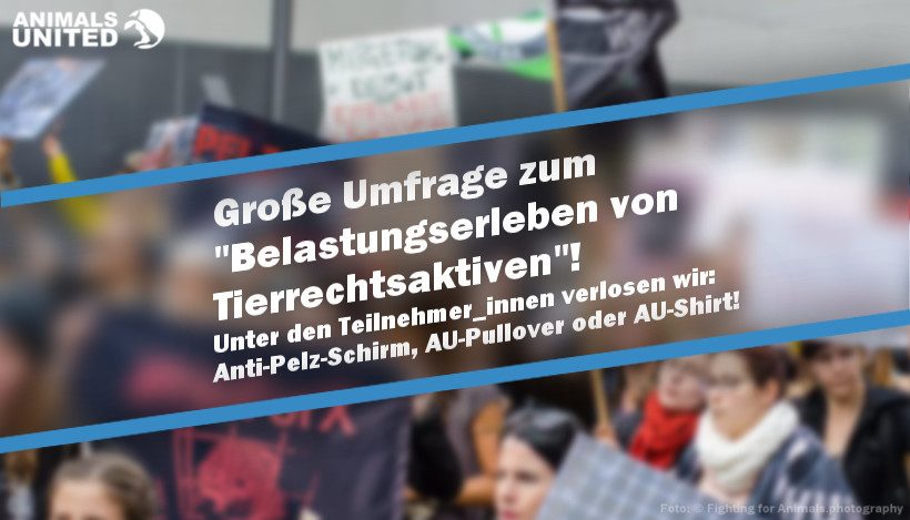 +++Danke an alle Teilnehmer_innen+++ Große Umfrage zum “Belastungserleben von Tierrechtsaktiven” +++Danke an alle Teilnehmer_innen+++ Große Umfrage zum “Belastungserleben von Tierrechtsaktiven”