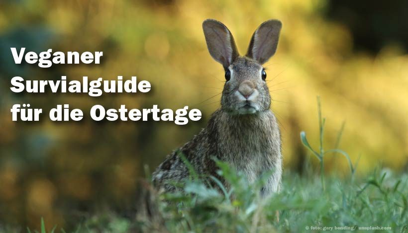 Veganer Survival-Guide für die Ostertage Veganer Survival-Guide für die Ostertage