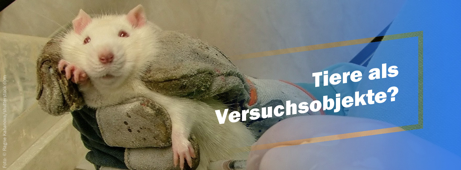 Forschung  ANIMALS UNITED e.V.