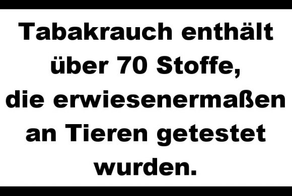 Rauchen ist tödlich – für Tiere in Versuchslabors! Rauchen ist tödlich – für Tiere in Versuchslabors!