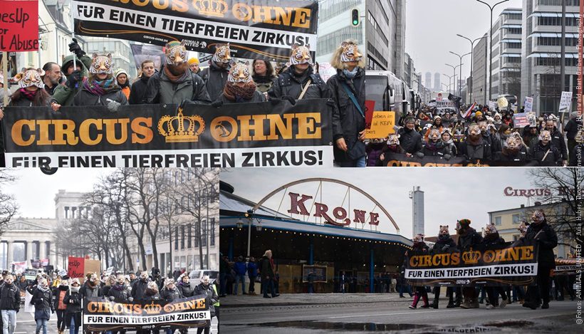 WHAT A WEEK: 1.000 für einen Zirkus OHNE Tiere! #CircusOHNE WHAT A WEEK: 1.000 für einen Zirkus OHNE Tiere! #CircusOHNE