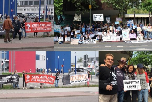 WHAT A WEEK: Protest vor Delfinarium, Apassionata & mehr WHAT A WEEK: Protest vor Delfinarium, Apassionata & mehr