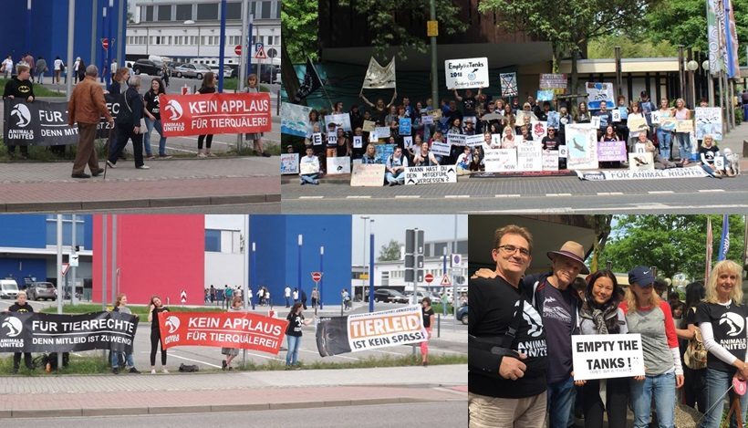 WHAT A WEEK: Protest vor Delfinarium, Apassionata & mehr WHAT A WEEK: Protest vor Delfinarium, Apassionata & mehr