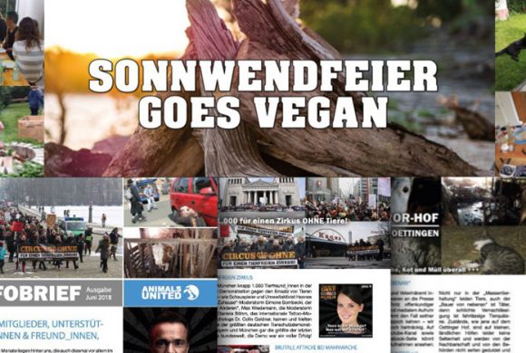 WHAT A WEEK: Vegane Sonnwendfeier & Infobrief 2018! WHAT A WEEK: Vegane Sonnwendfeier & Infobrief 2018!