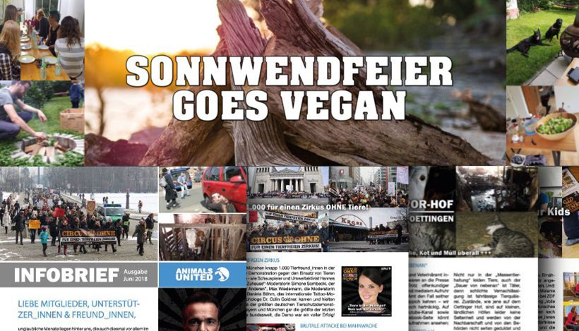 WHAT A WEEK: Vegane Sonnwendfeier & Infobrief 2018! WHAT A WEEK: Vegane Sonnwendfeier & Infobrief 2018!