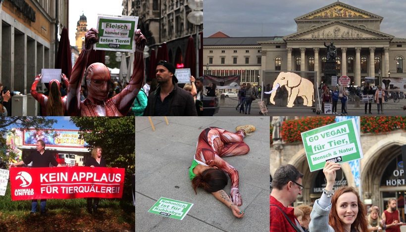 WHAT A WEEK: Vom globalen Marsch für Elefanten bis Infostände WHAT A WEEK: Vom globalen Marsch für Elefanten bis Infostände