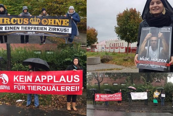 WHAT A WEEK: CircusOHNE-Mahnwachen! WHAT A WEEK: CircusOHNE-Mahnwachen!