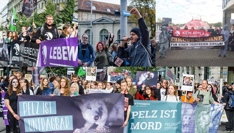 WHAT A WEEK: Proteste für tierleidfreie Mode und Unterhaltung! WHAT A WEEK: Proteste für tierleidfreie Mode und Unterhaltung!