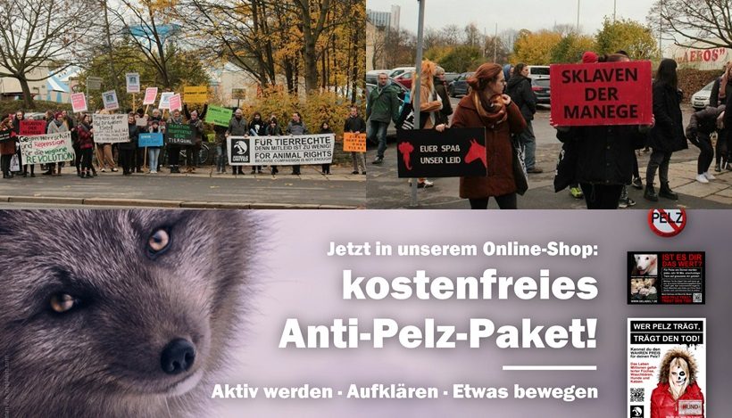 WHAT A WEEK: Kostenloses Anti-Pelz-Paket und CircusOHNE Demo in Chemnitz! WHAT A WEEK: Kostenloses Anti-Pelz-Paket und CircusOHNE Demo in Chemnitz!