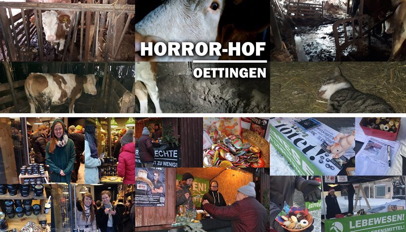 WHAT A WEEK: Aufdeckung des Horror-Hofes & weihnachtliche Aktionen WHAT A WEEK: Aufdeckung des Horror-Hofes & weihnachtliche Aktionen