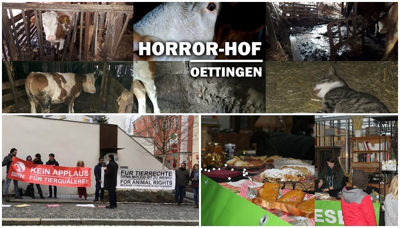 WHAT A WEEK: Weihnachten, CircusOHNE und vieles mehr! WHAT A WEEK: Weihnachten, CircusOHNE und vieles mehr!