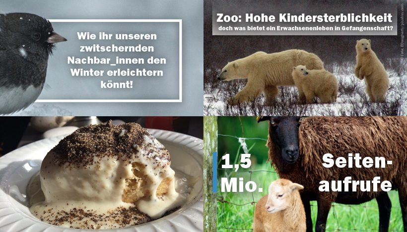 WHAT A WEEK: Neues auf unserem Blog & 1,5 Mio. Seitenaufrufe WHAT A WEEK: Neues auf unserem Blog & 1,5 Mio. Seitenaufrufe