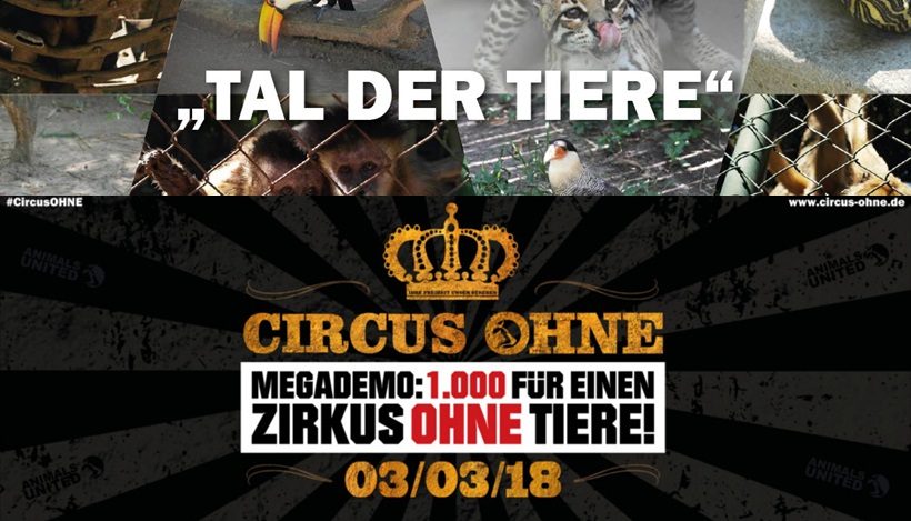 WHAT A WEEK: Happy End im Tal der Tiere und CircusOHNE! WHAT A WEEK: Happy End im Tal der Tiere und CircusOHNE!