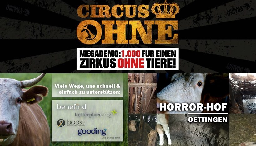WHAT A WEEK: CircusOHNE & Horror-Hof WHAT A WEEK: CircusOHNE & Horror-Hof