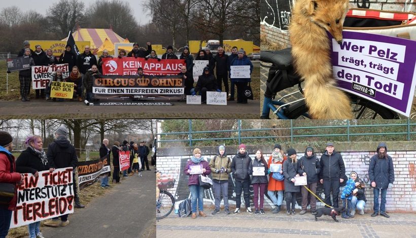 WHAT A WEEK: Auf den Straßen für tierleidfreie Unterhaltung und Kleidung! WHAT A WEEK: Auf den Straßen für tierleidfreie Unterhaltung und Kleidung!