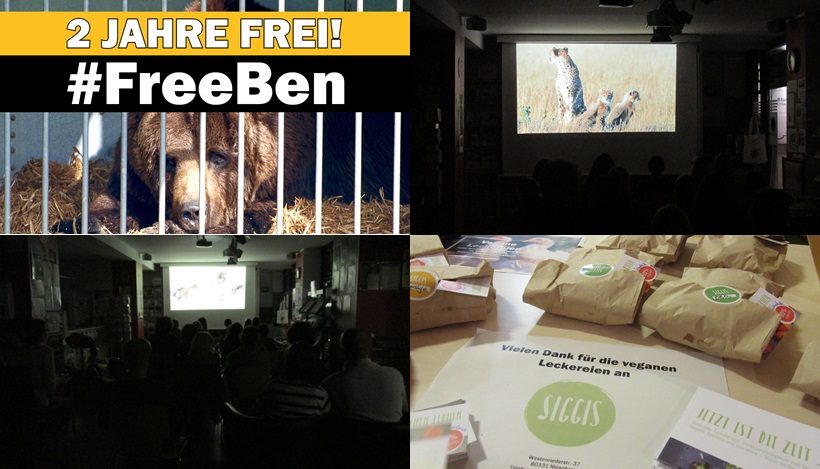 WHAT A WEEK: Bens Befreiung jährt sich zum zweiten Mal! WHAT A WEEK: Bens Befreiung jährt sich zum zweiten Mal!