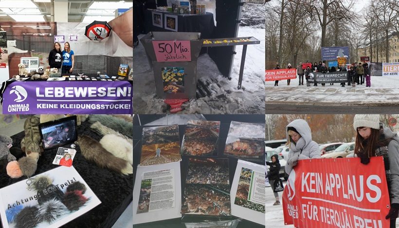 WHAT A WEEK: Heldenmarkt, CircusOHNE & mehr! WHAT A WEEK: Heldenmarkt, CircusOHNE & mehr!