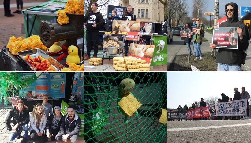 WHAT A WEEK: Tierleidfreie Ostern, CircusOHNE & mehr WHAT A WEEK: Tierleidfreie Ostern, CircusOHNE & mehr