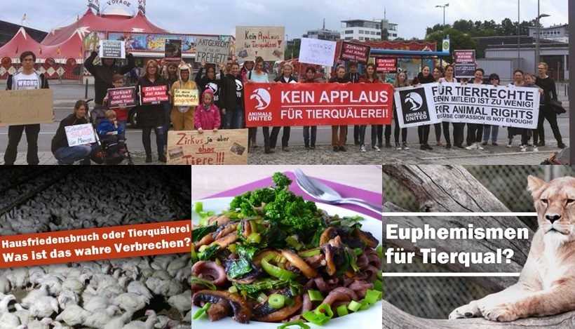 WHAT A WEEK: Aktiv für einen Zirkus ohne Tiere! WHAT A WEEK: Aktiv für einen Zirkus ohne Tiere!