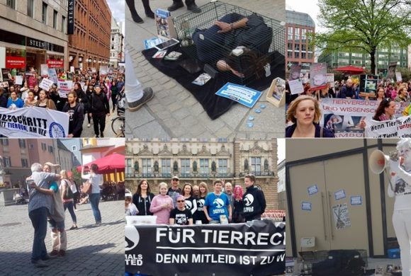 WHAT A WEEK: Aktiv für tierversuchsfreie Forschung! WHAT A WEEK: Aktiv für tierversuchsfreie Forschung!