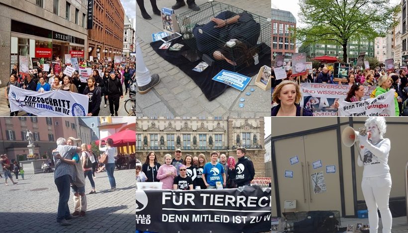 WHAT A WEEK: Aktiv für tierversuchsfreie Forschung! WHAT A WEEK: Aktiv für tierversuchsfreie Forschung!