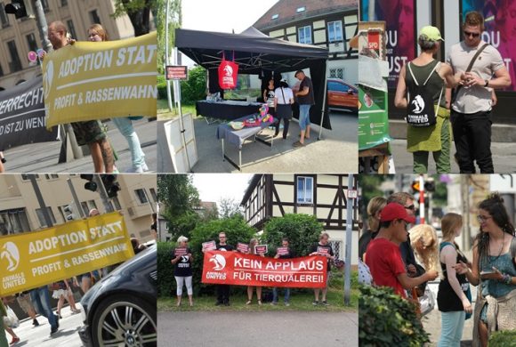 WHAT A WEEK: Aktiv gegen Ponykarussells, Rassenwahn & Zoos! WHAT A WEEK: Aktiv gegen Ponykarussells, Rassenwahn & Zoos!