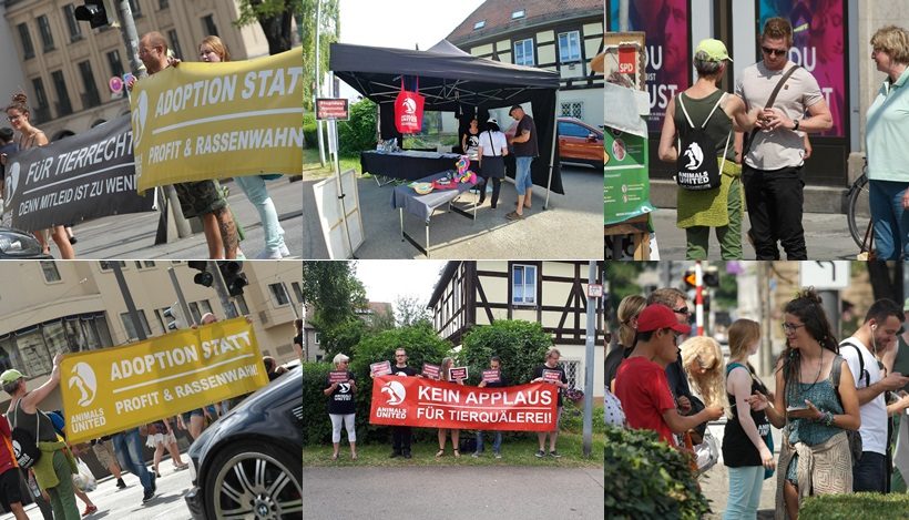 WHAT A WEEK: Aktiv gegen Ponykarussells, Rassenwahn & Zoos! WHAT A WEEK: Aktiv gegen Ponykarussells, Rassenwahn & Zoos!