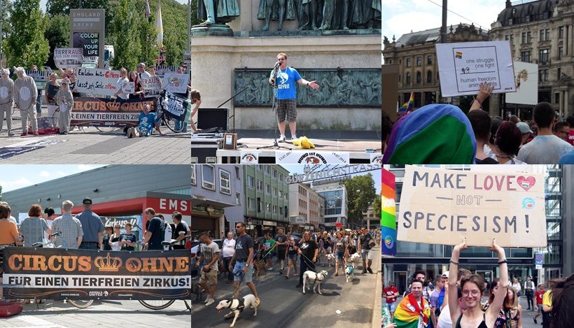 WHAT A WEEK: Hund ist Hund, CircusOHNE & CSD! WHAT A WEEK: Hund ist Hund, CircusOHNE & CSD!