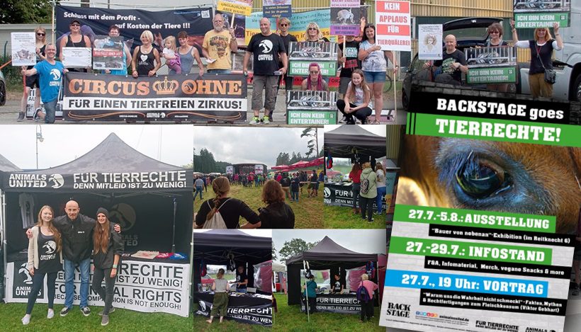 WHAT A WEEK: CircusOHNE & jede Menge Aufklärung über Tierrechte! WHAT A WEEK: CircusOHNE & jede Menge Aufklärung über Tierrechte!