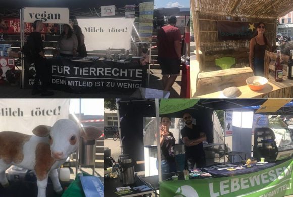 WHAT A WEEK: Tierleidfreies Fest im Allgäu! WHAT A WEEK: Tierleidfreies Fest im Allgäu!