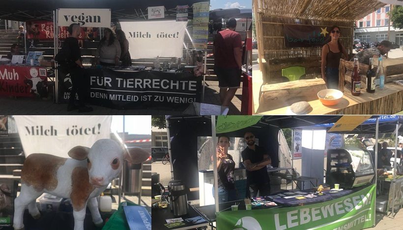 WHAT A WEEK: Tierleidfreies Fest im Allgäu! WHAT A WEEK: Tierleidfreies Fest im Allgäu!