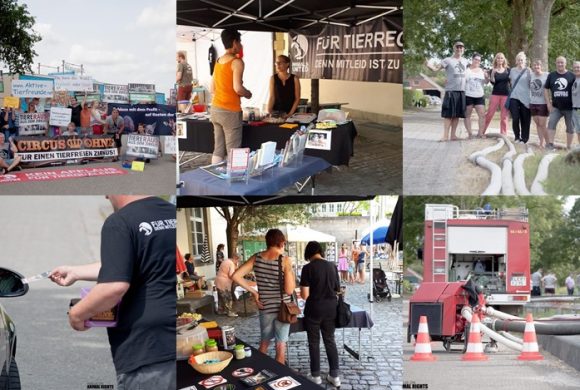 WHAT A WEEK: CircusOHNE, Umweltfest & Rettung von Fischen WHAT A WEEK: CircusOHNE, Umweltfest & Rettung von Fischen