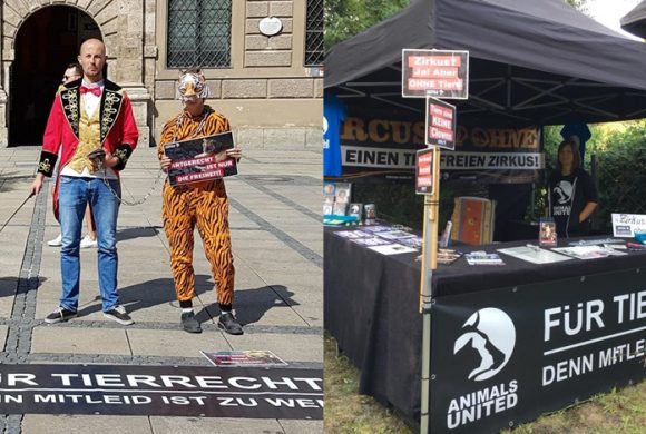 WHAT A WEEK: Für einen tierfreien Zirkus in Kempten, München und Bremen! WHAT A WEEK: Für einen tierfreien Zirkus in Kempten, München und Bremen!