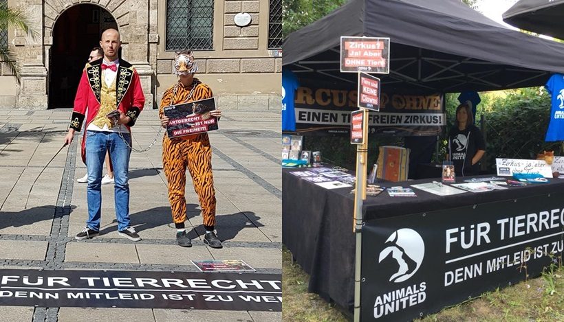 WHAT A WEEK: Für einen tierfreien Zirkus in Kempten, München und Bremen! WHAT A WEEK: Für einen tierfreien Zirkus in Kempten, München und Bremen!