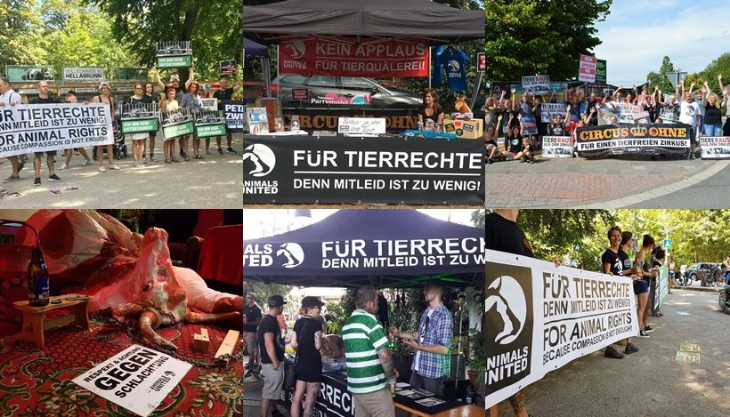 WHAT A WEEK: CircusOHNE, Tierrechte go Free&Easy Festival & ZooNoGo WHAT A WEEK: CircusOHNE, Tierrechte go Free&Easy Festival & ZooNoGo