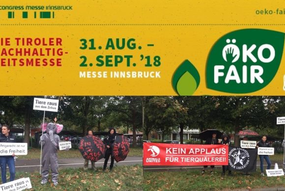 WHAT A WEEK: Aktiv für einen Zirkus OHNE Tiere! WHAT A WEEK: Aktiv für einen Zirkus OHNE Tiere!
