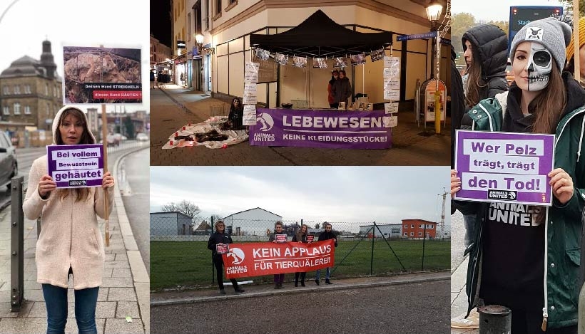 WHAT A WEEK: Aktiv für tierleidfreie Bekleidung in Zwickau & Hamburg! WHAT A WEEK: Aktiv für tierleidfreie Bekleidung in Zwickau & Hamburg!