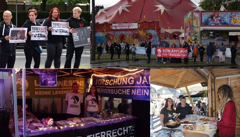 WHAT A WEEK: Von Festivals bis Zirkusdemonstrationen WHAT A WEEK: Von Festivals bis Zirkusdemonstrationen