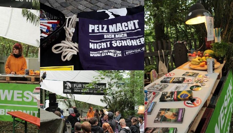 WHAT A WEEK: Von Klimakiller Fleischkonsum bis Festival WHAT A WEEK: Von Klimakiller Fleischkonsum bis Festival